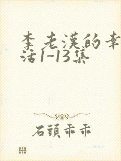 李老汉的幸福生活1-13集