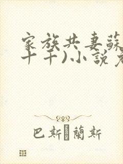 家族共妻苏苏(十千)小说免费