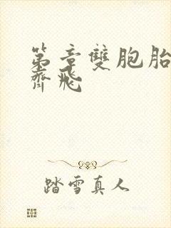 第章双胞胎姐妹齐飞