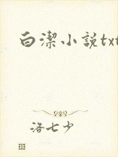 白洁小说txt