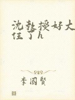 沈教授好大含不住了h