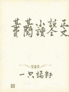 某某小说正版免费阅读全文无弹窗