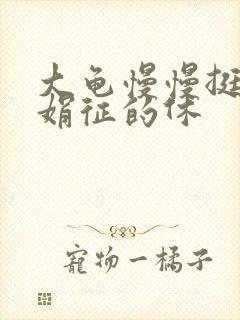 大龟慢慢挺进张娟征的休