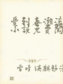 爱到春潮滚滚来小说免费阅读