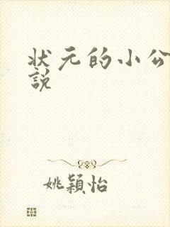 状元的小公主小说