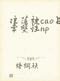 浪荡被cao日常双性np