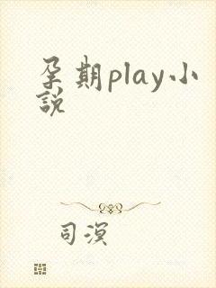 孕期play小说
