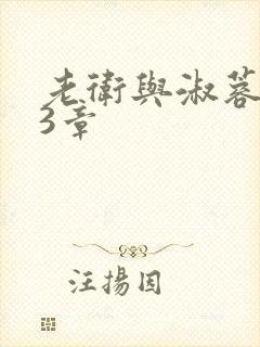 老卫与淑蓉第13章