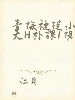 青梅被从小摸到大H补课1视频