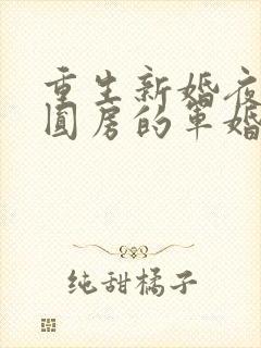 重生新婚夜正在圆房的军婚