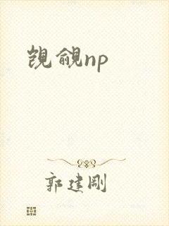 觊觎np