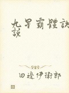 九星霸体诀 小说