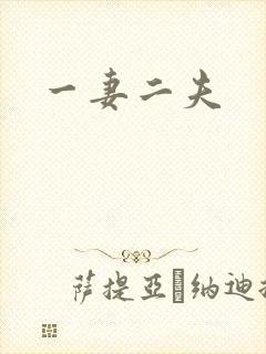 一妻二夫
