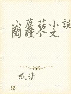 小蘑菇小说免费阅读全文