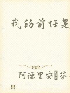 我的前任是极品