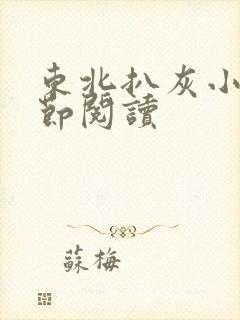 东北扒灰小说分节阅读