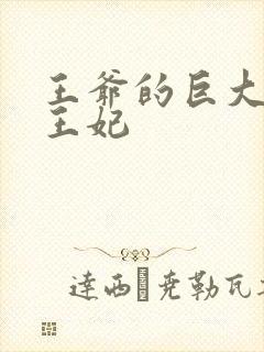 王爷的巨大进入王妃