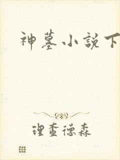 神墓小说下载