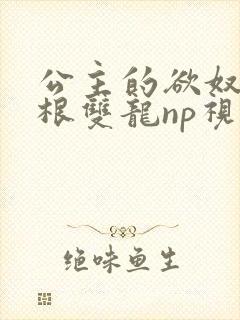 公主的欲奴h四根双龙np视频