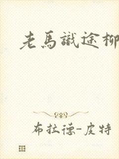 老马识途柳娇娇