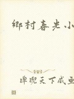 乡村春光小说