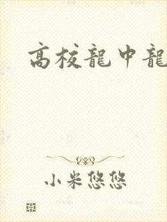 高校龙中龙