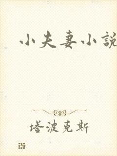小夫妻小说