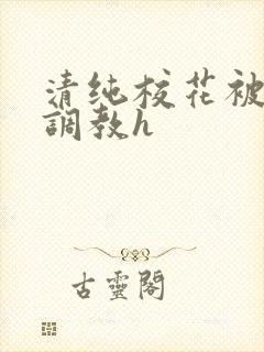 清纯校花被地狱调教h