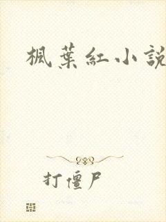 枫叶红小说