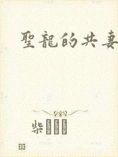圣龙的共妻