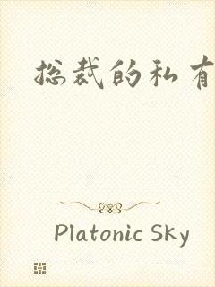 总裁的私有宝贝