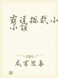 霸道总裁小娇妻小说