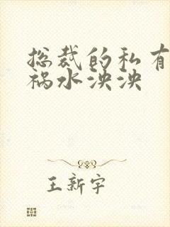 总裁的私有宝贝祸水泱泱