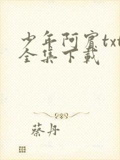 少年阿宾txt全集下载
