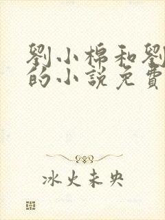 刘小棉和刘易文的小说免费阅读