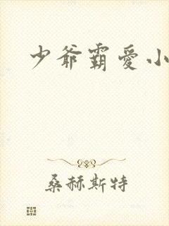 少爷霸爱小丫头