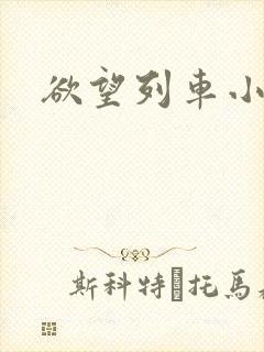 欲望列车小说