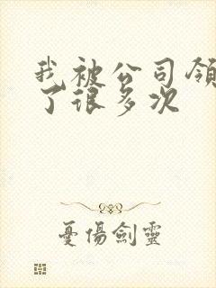 我被公司领导C了很多次