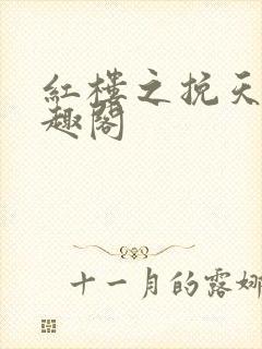 红楼之挽天倾笔趣阁