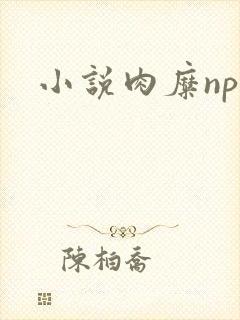 小说肉糜np