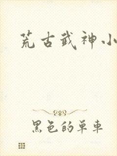 荒古武神小说