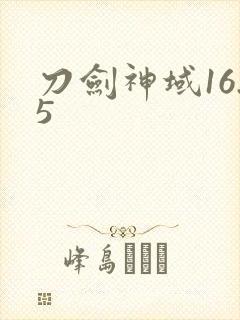 刀剑神域16.5