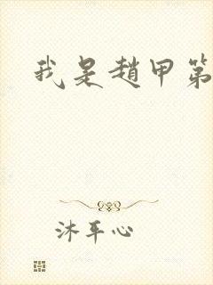 我是赵甲第小说