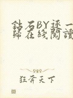 钻石BY逐一而归在线阅读