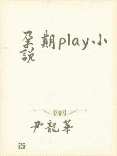 孕期play小说