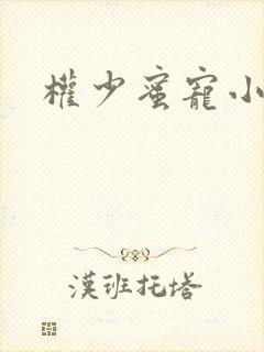 权少蜜宠小娇妻