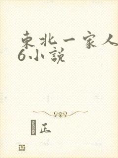 东北一家人1一6小说