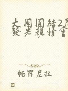 大团圆结2闪闪发光亲情会