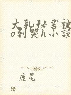 大乳秘书被cao到哭h小说