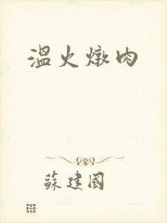 温火炖肉